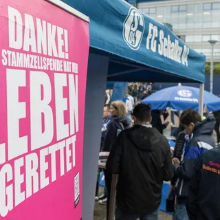 Der Stand zur Stammzellenspende.