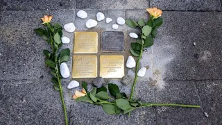Vier Stolpersteine sind in den Gehweg eingelassen, umgeben von weißen Kieselsteinen und orangefarbenen Rosen. Die messingfarbenen Gedenktafeln erinnern an Mitglieder der Familie Rosenberg, Opfer der NS-Zeit.